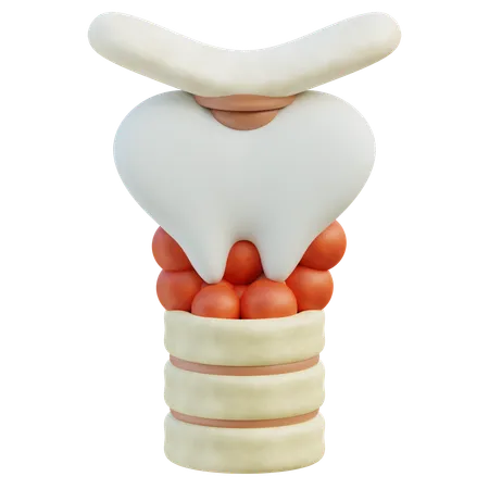 A Detailed 3 D Rendering Of The Thyroid Gland Situated On The Trachea Showing Its Butterfly Shape And Relation To The Neck 3D Icon