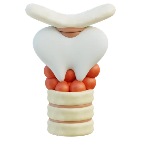 Thyroid Gland  3D Icon