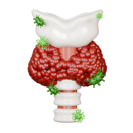 Thyroid Gland Diseases  3D Icon