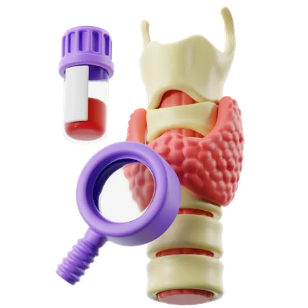 Thyroïde  3D Icon