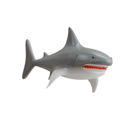 Tiburón  3D Icon