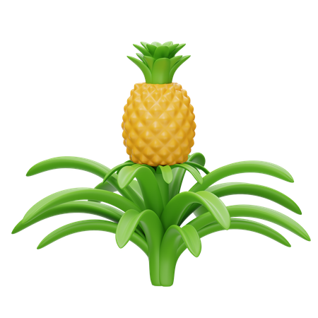 Tige d'ananas  3D Icon