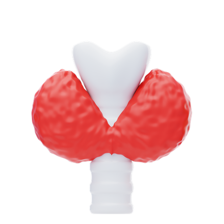 Tireoide  3D Icon