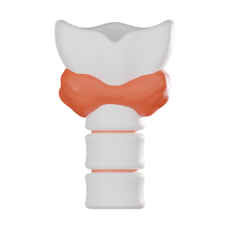 Tireoide  3D Icon