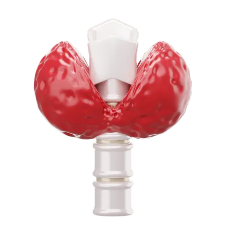 Tireoide  3D Icon