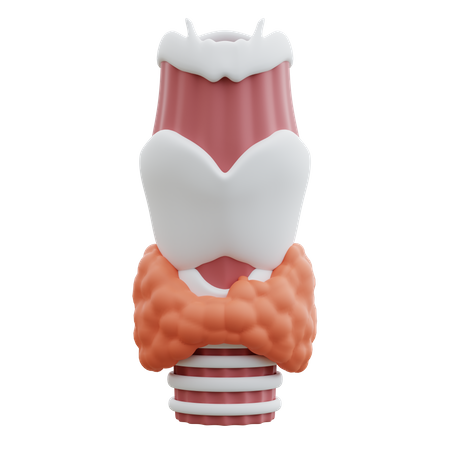 Tiroides  3D Icon