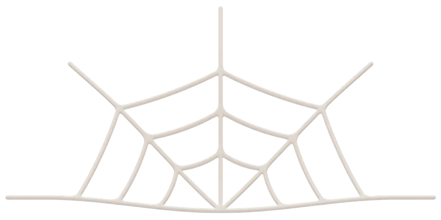 Toile d'araignée  3D Icon
