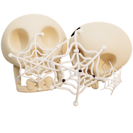 Toile d'araignée sur le crâne  3D Illustration