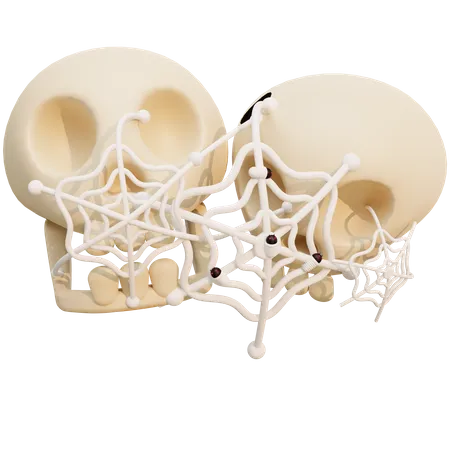 Toile d'araignée sur le crâne  3D Illustration