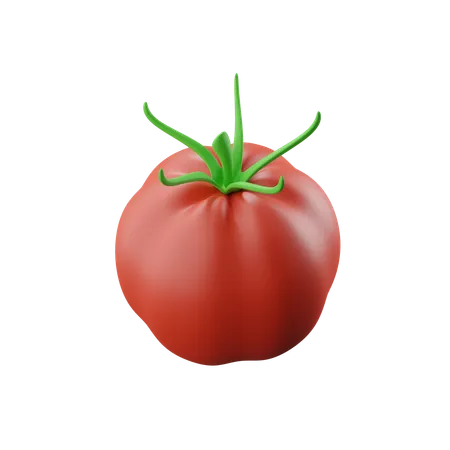 Tomato Download This Item Now 3D Icon