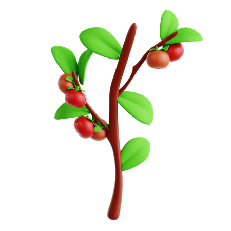 Tomato  3D Icon