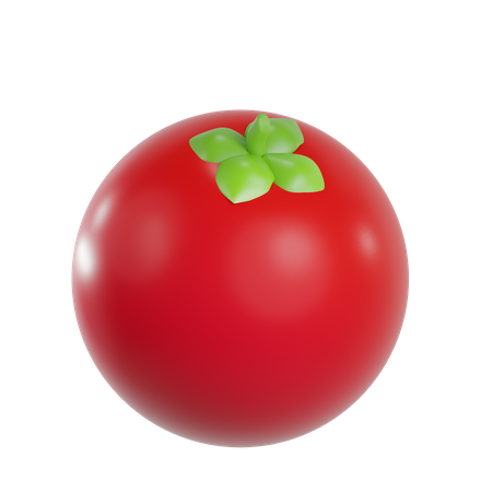 Tomato  3D Illustration