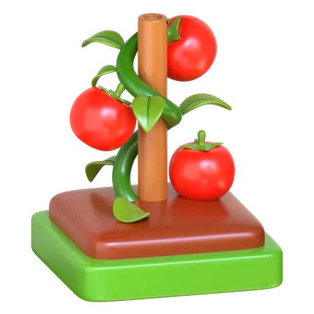 Tomato Farm 3 D Smart Farming Icon 3D Icon