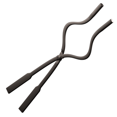 Tongs  3D Icon