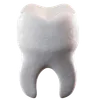 Tooth