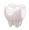 Tooth