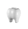 Tooth