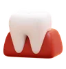 Tooth