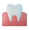 Tooth