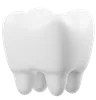 Tooth