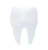 Tooth