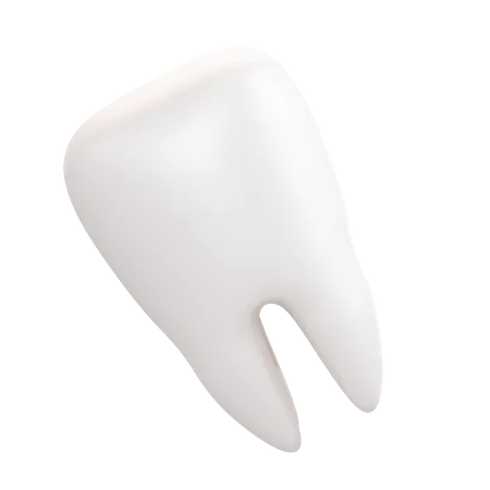 Tooth  3D Illustration