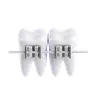 Tooth Brace