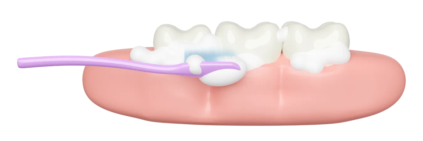 Tooth cleaning  3D Illustration