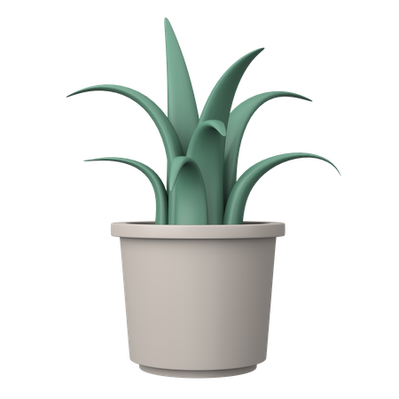 Topfpflanze  3D Illustration