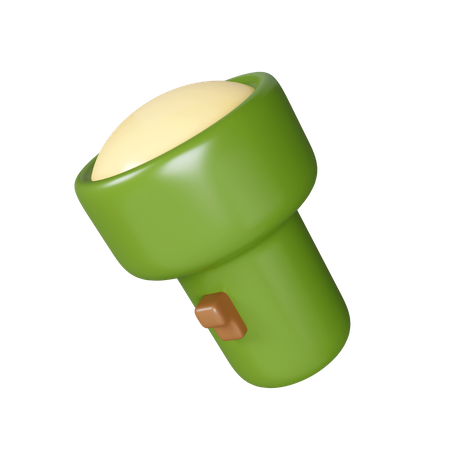 Torch  3D Icon