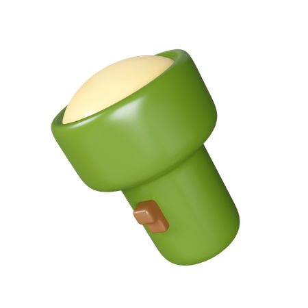 Torch  3D Icon