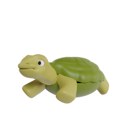 Tortue  3D Icon