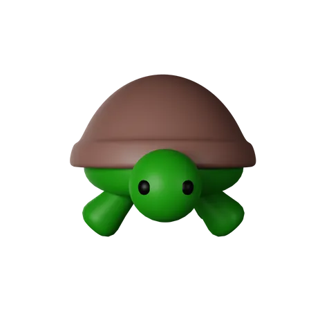 Tortue  3D Icon