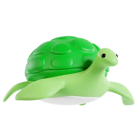 Tortuga  3D Icon