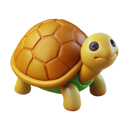 Tortuga  3D Icon