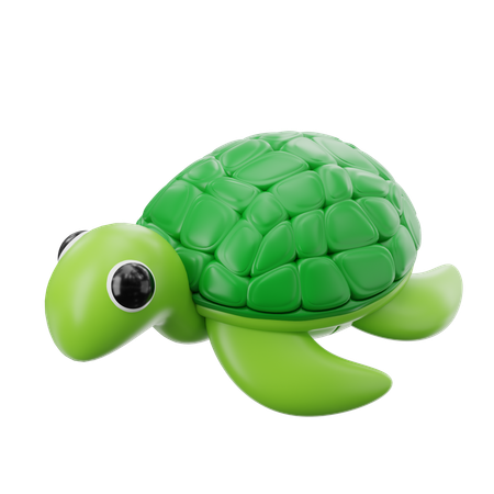 Tortuga  3D Icon