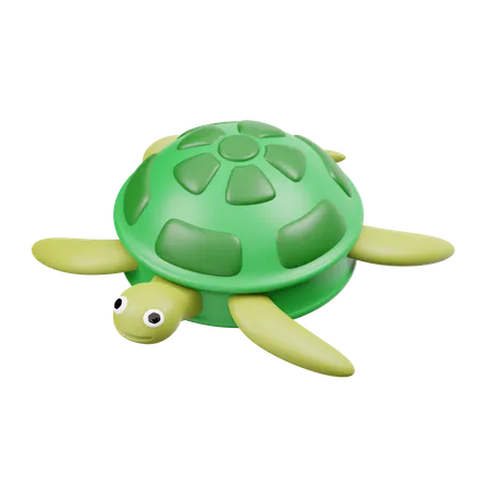 Tortuga  3D Icon