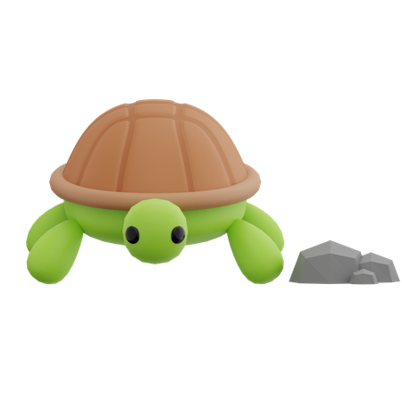 Tortugas  3D Illustration