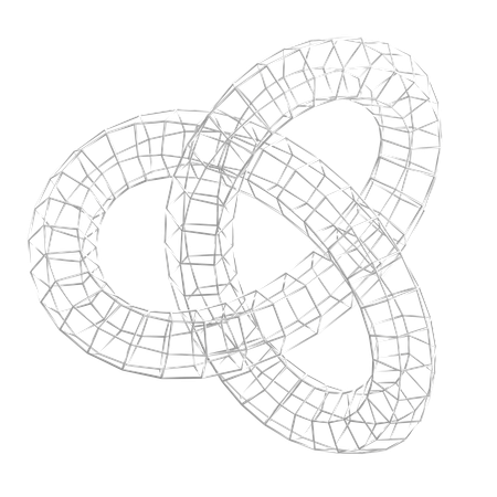 Torus knot  3D Icon