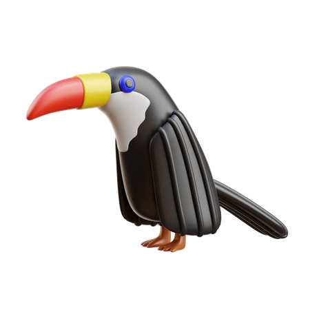 Toucan  3D Icon
