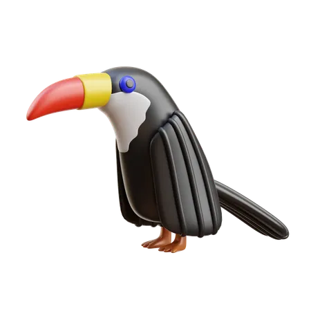 Toucan  3D Icon