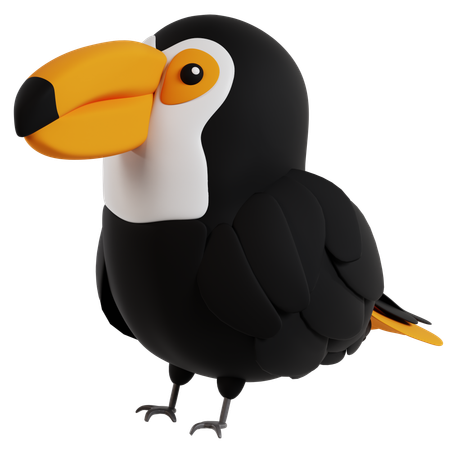 Toucan coloré perché  3D Icon