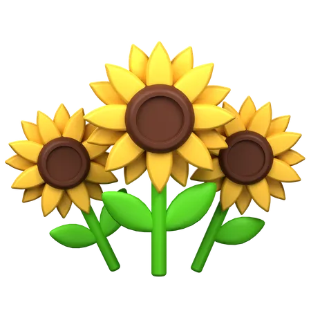 Tournesol  3D Icon