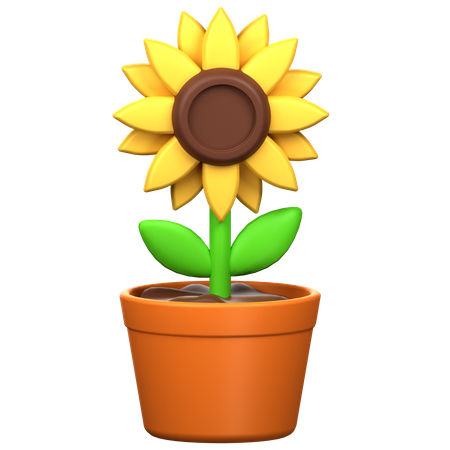 Tournesol  3D Icon