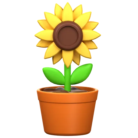 Tournesol  3D Icon