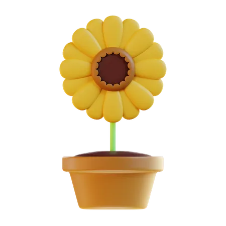 Tournesol  3D Icon