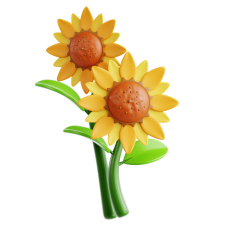 Tournesol  3D Icon