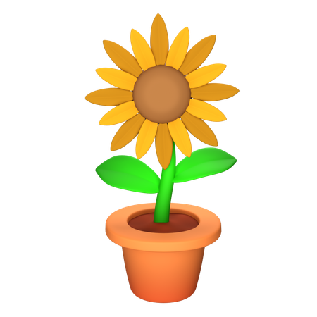 Tournesol  3D Icon