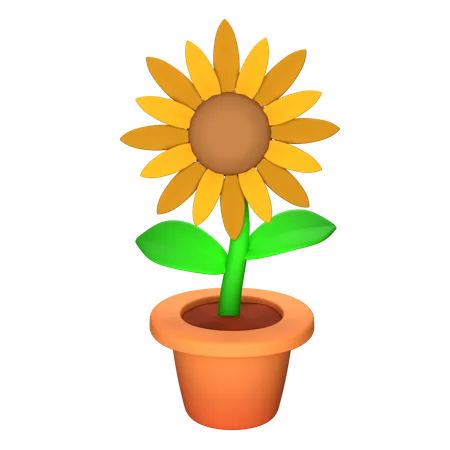 Tournesol  3D Icon