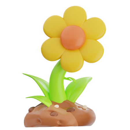 Tournesol  3D Icon